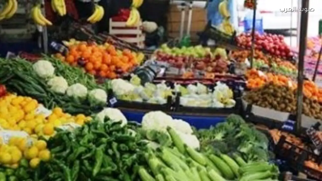 استقرار سوق الخضروات وتراجع الأسعار مع بدء حصاد المحصول الصيفي
