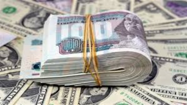 سعر الدولار يرتفع رسمياً مقابل الجنيه في البنك المركزي