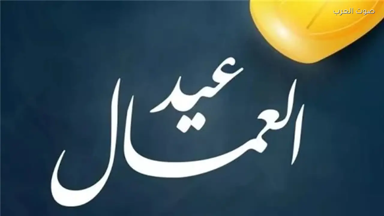 صفية السيد: الدولة تدعم دور المرأة العاملة وعطاؤها مستمر
