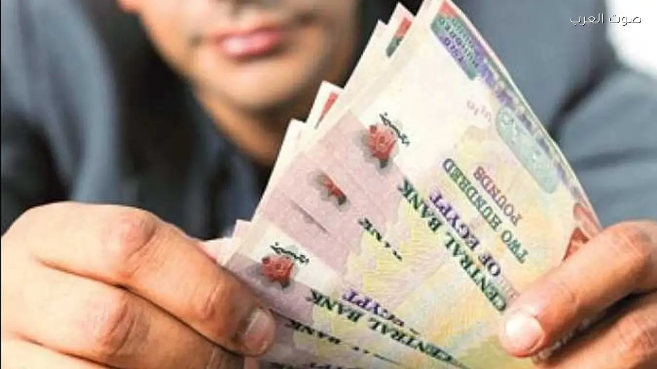 بنوك تعرض شهادات ادخار بعائد 37.5% ودخل يومي