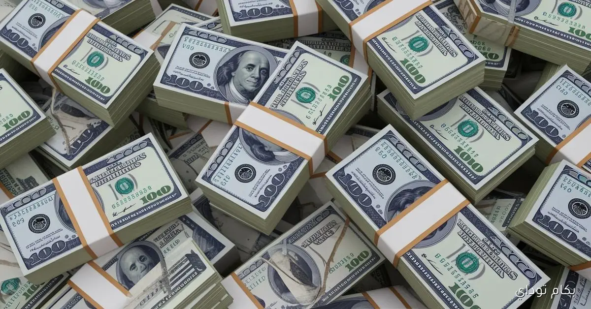 سعر الدولار في البنوك المحلية يستقر مع بداية أيام العيد